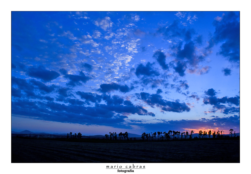 Nell'agro Sassarese. Al Tramonto.