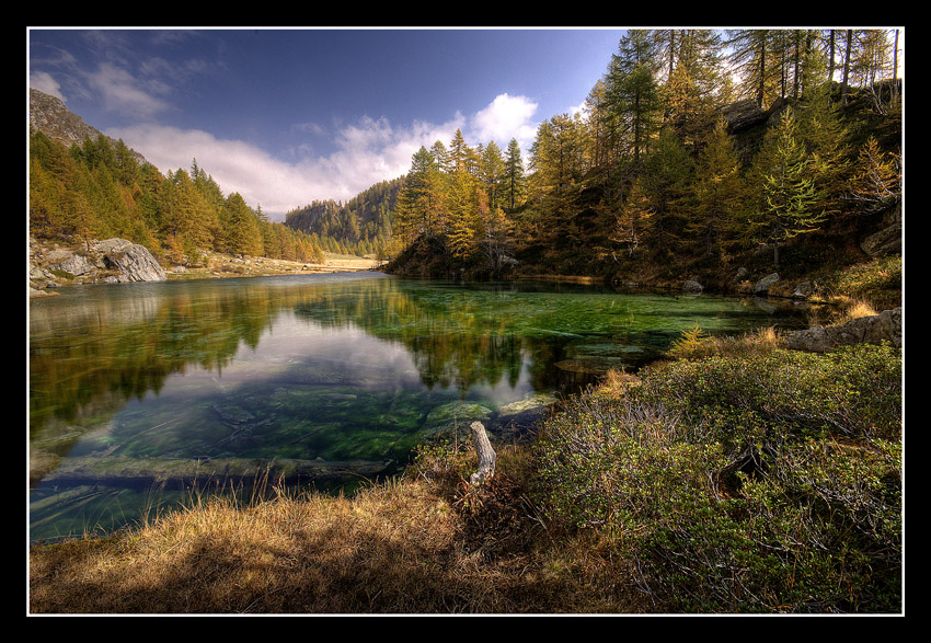 trasparenze d'autunno II