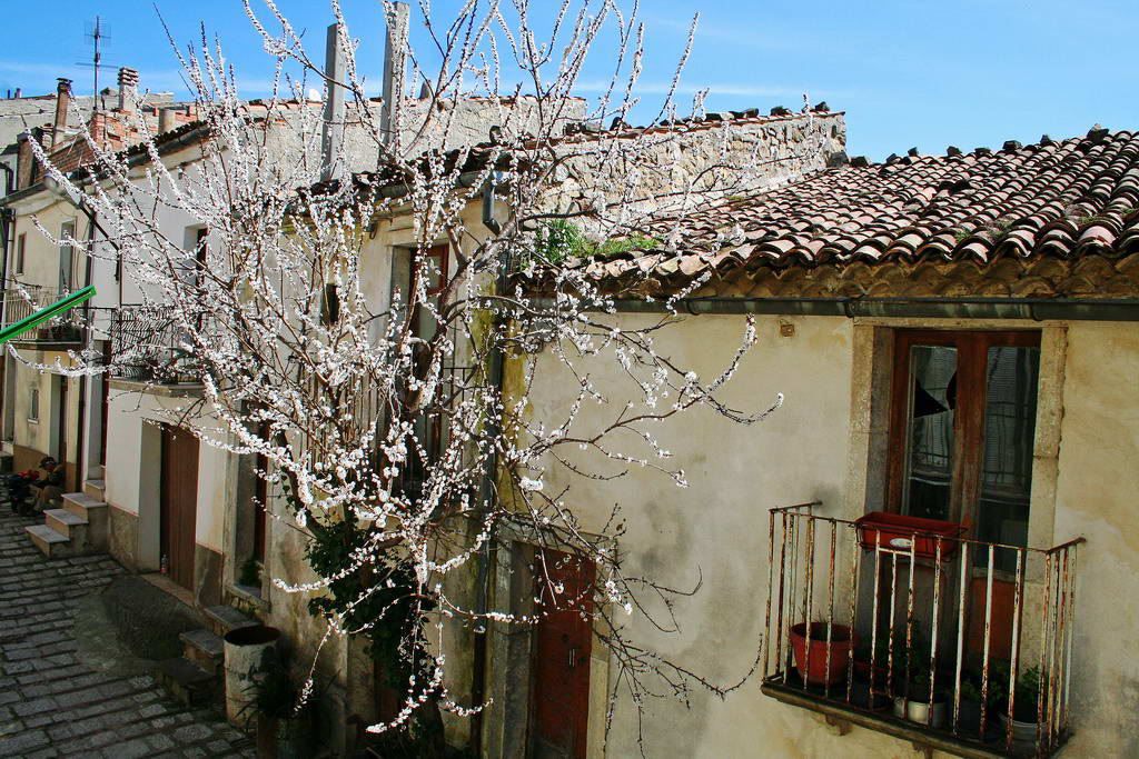 Freschezza Primaverile