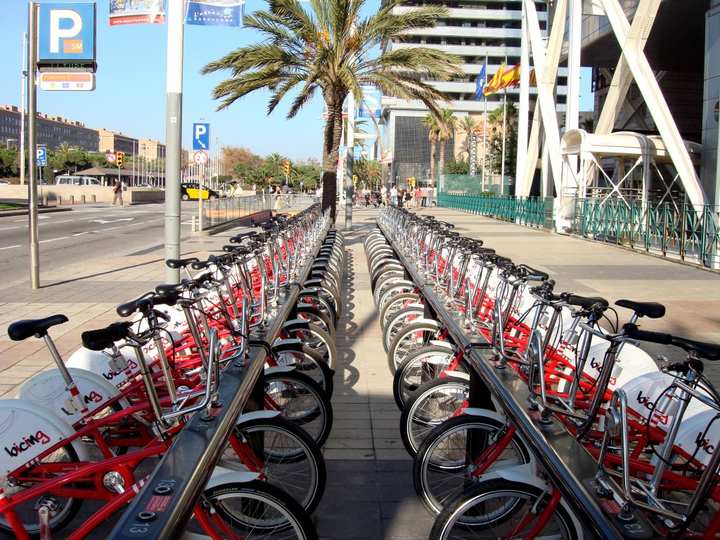 Velocipedi in parallelo!