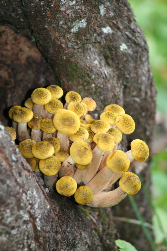 ...gradevole sorpresa...