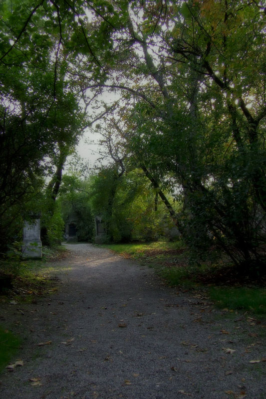 The path to Oblivion