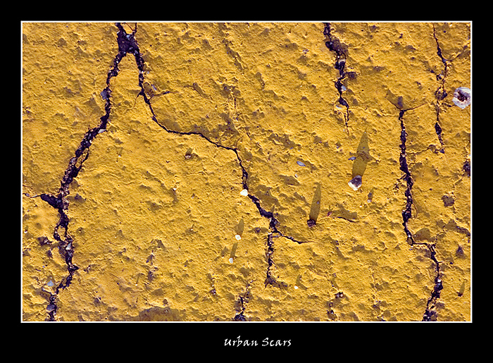 Urban Scars