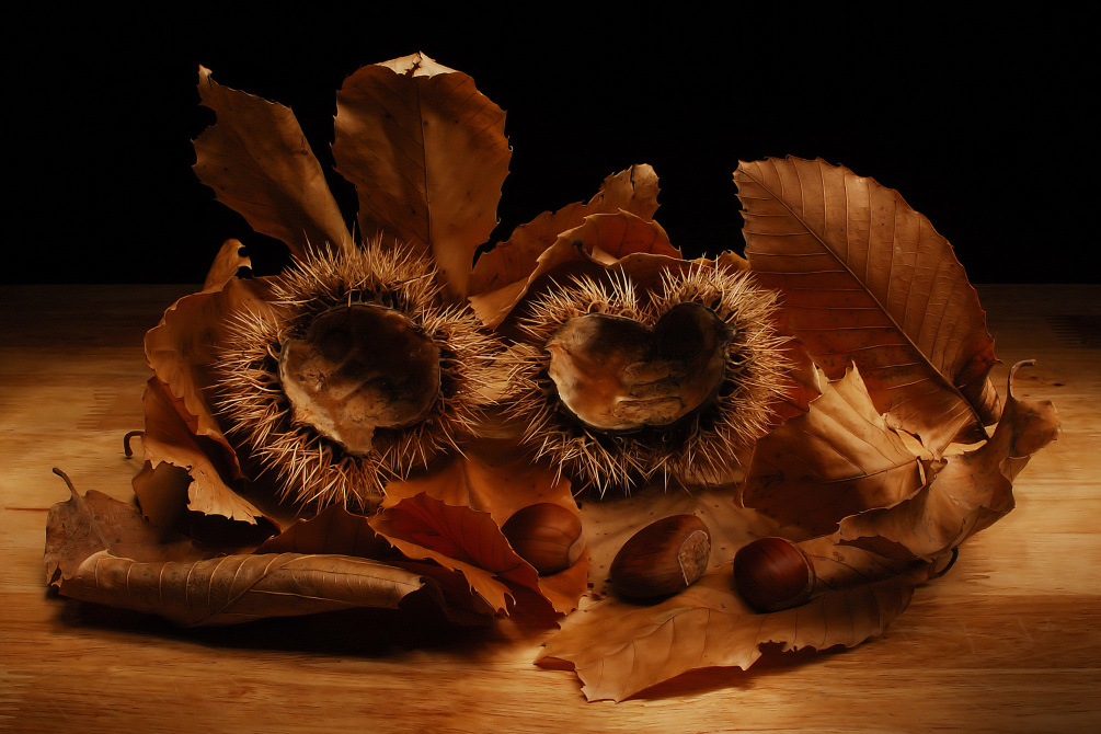 Autunno (Light Painting)