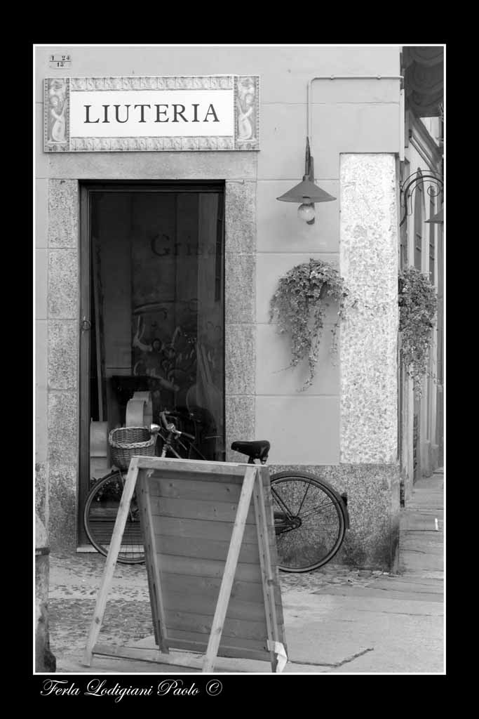 La citt� del violino