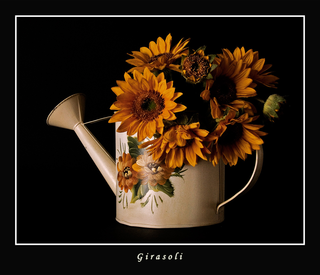Girasoli...