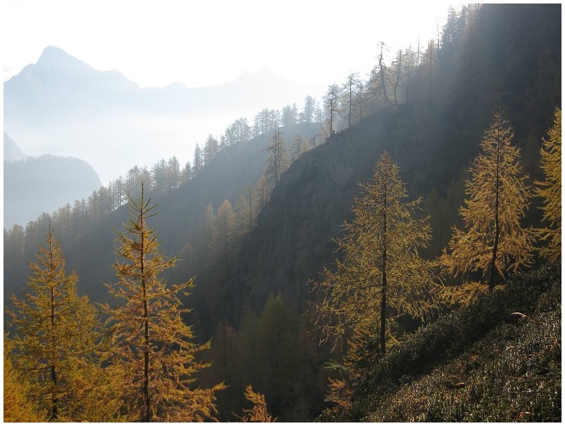 Il dolce abbraccio dell'autunno...