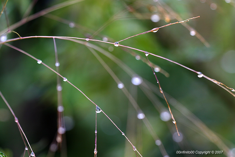 :: Luci e rumori nel d� di festa...