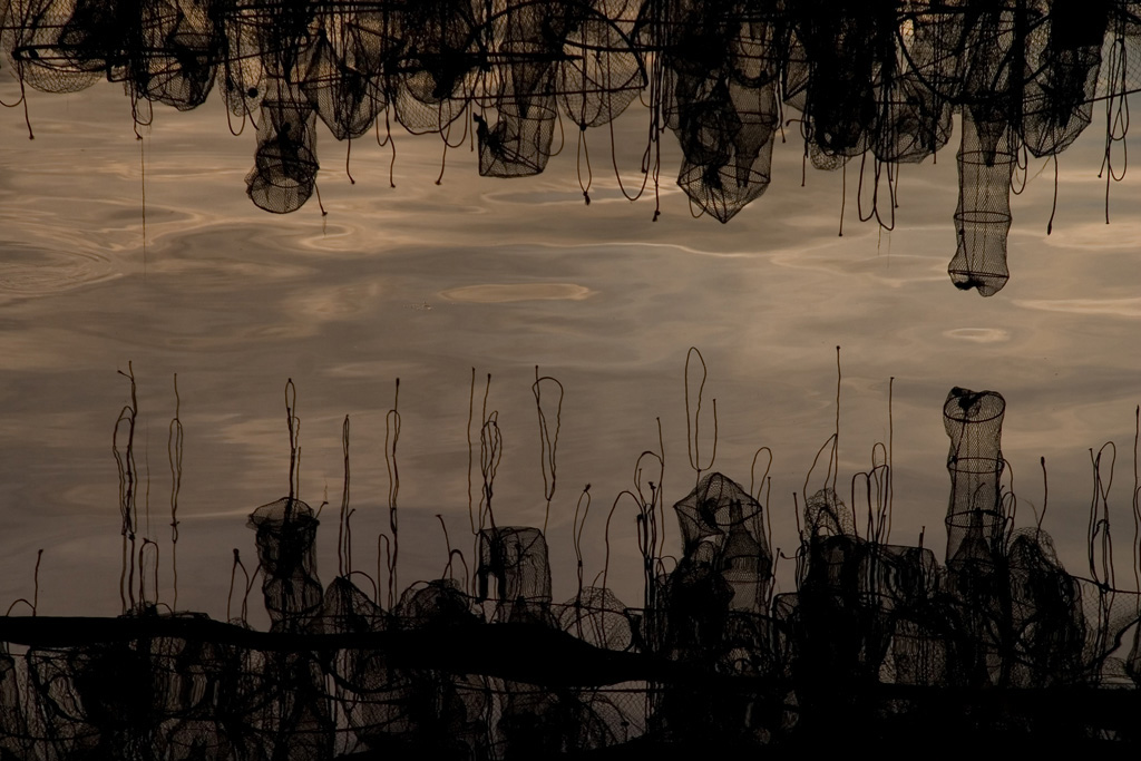 Reti riflesse, delta del Po