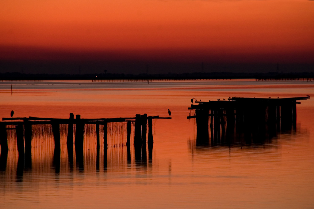 Tramonto sul delta del Po 4