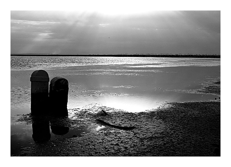 .....desertificazione......