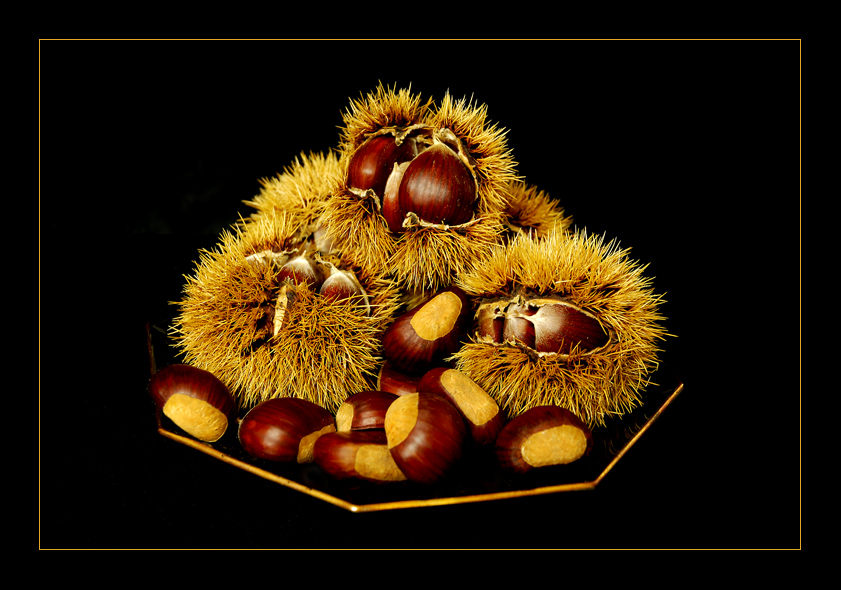 Composizione d'autunno