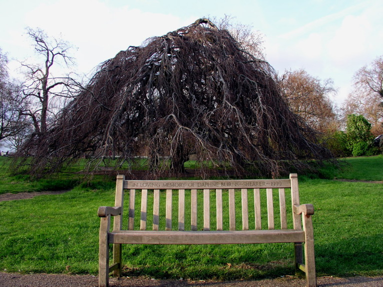 Panchina in Hyde park