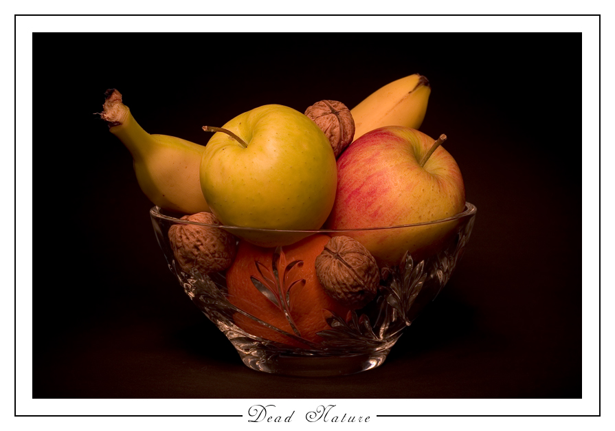 Dead Nature