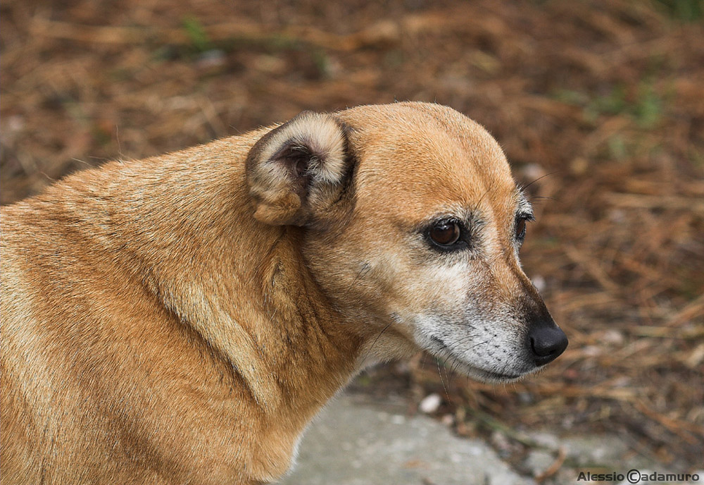 Betty tieni le orecchie aperte...