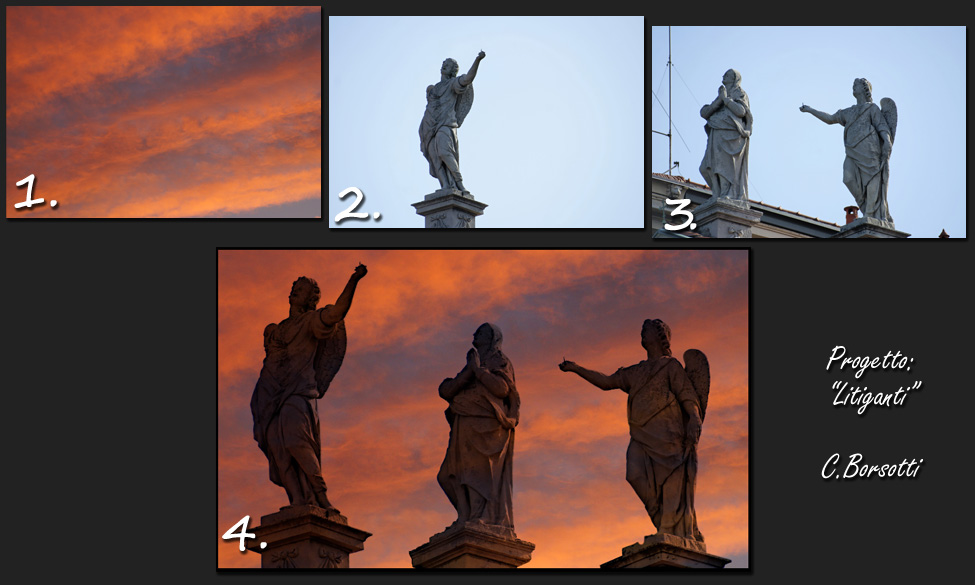 Progetto "I Litiganti"