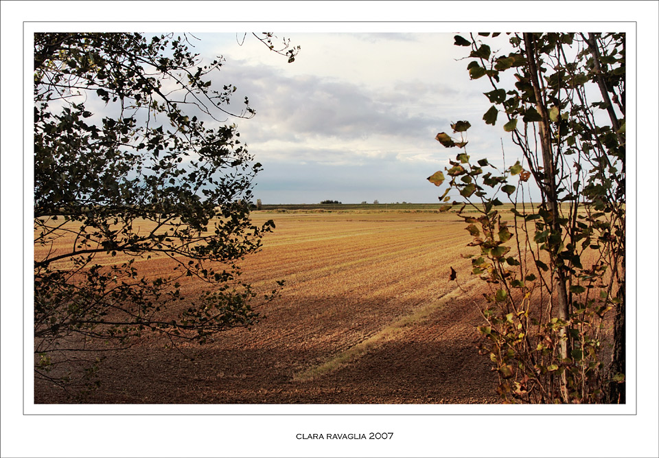 Oltre .... il sipario