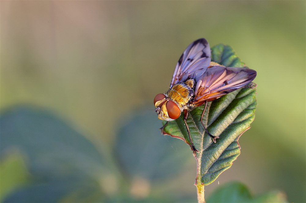 Al tepore dell'ultimo sole