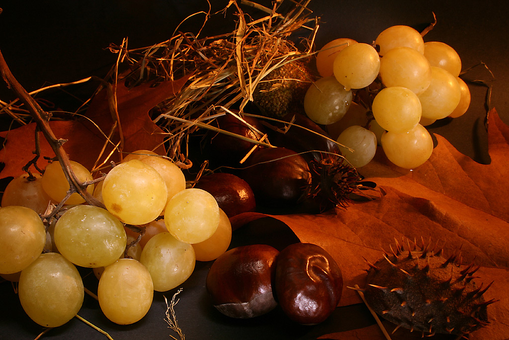 Composizione d'autunno