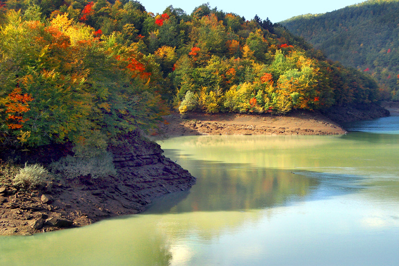 I caldi colori dell'autunno 2