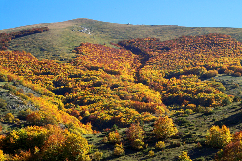 I caldi colori dell'autunno 3