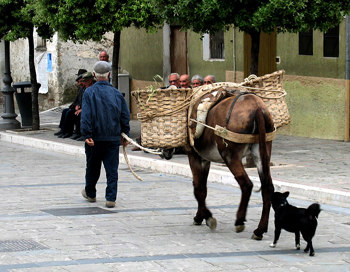 Il cammino verso la sera.