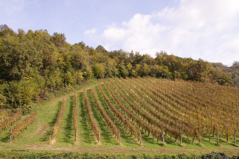 Aspettando il prossimo anno