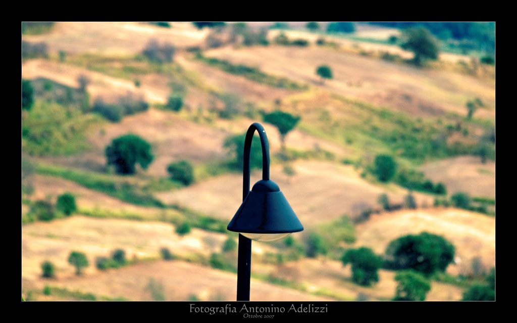 Io oggi la vedo cos�