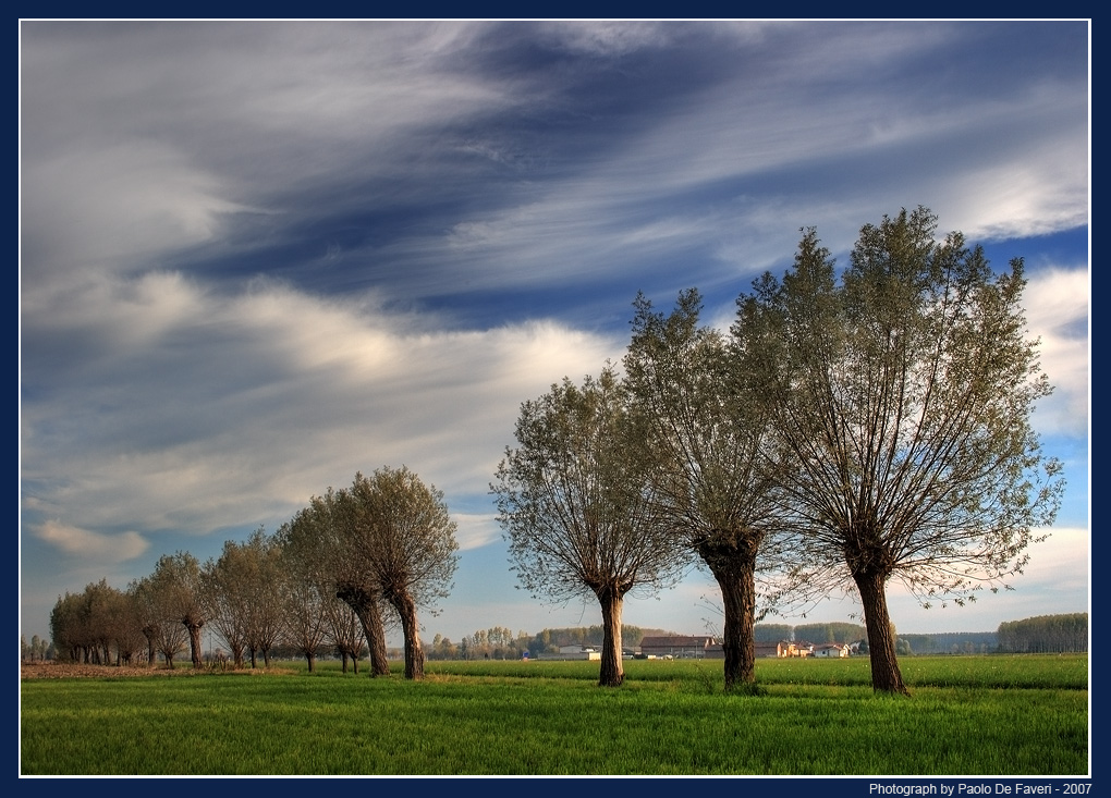 La campagna di Scalenghe, Torino. #3