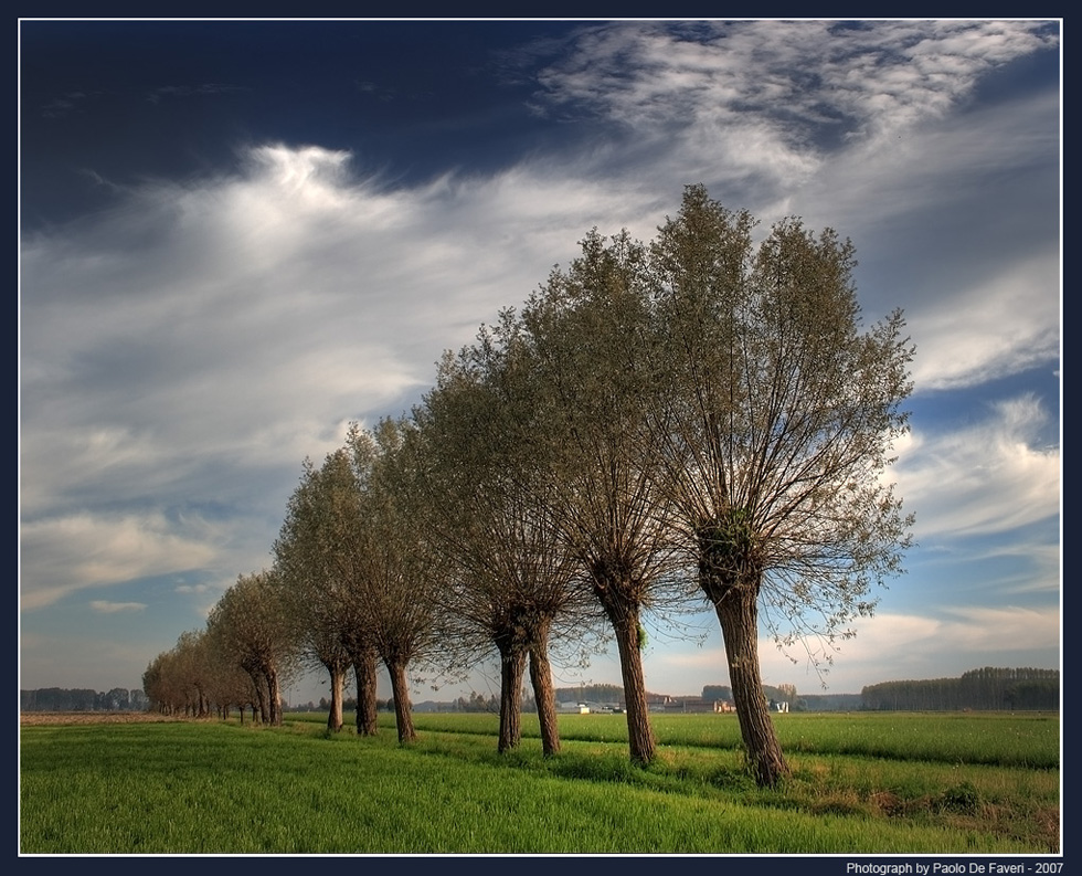 La campagna di Scalenghe, Torino. #5