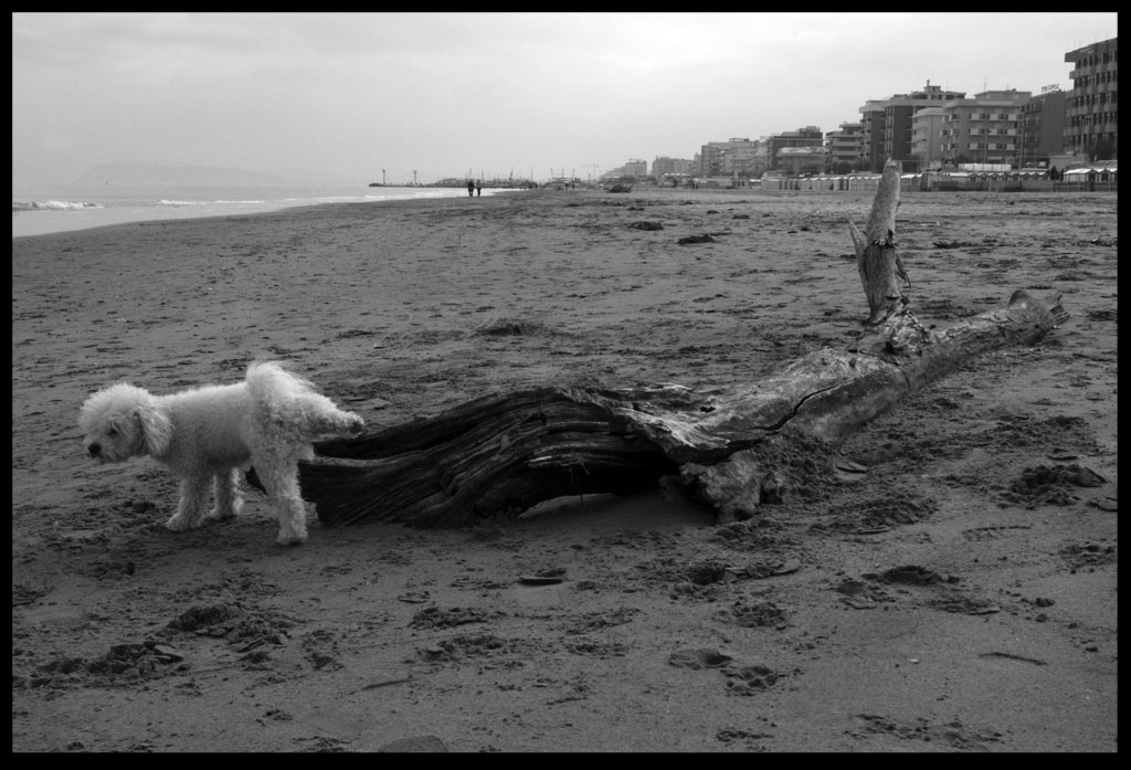 quando la natura chiama....