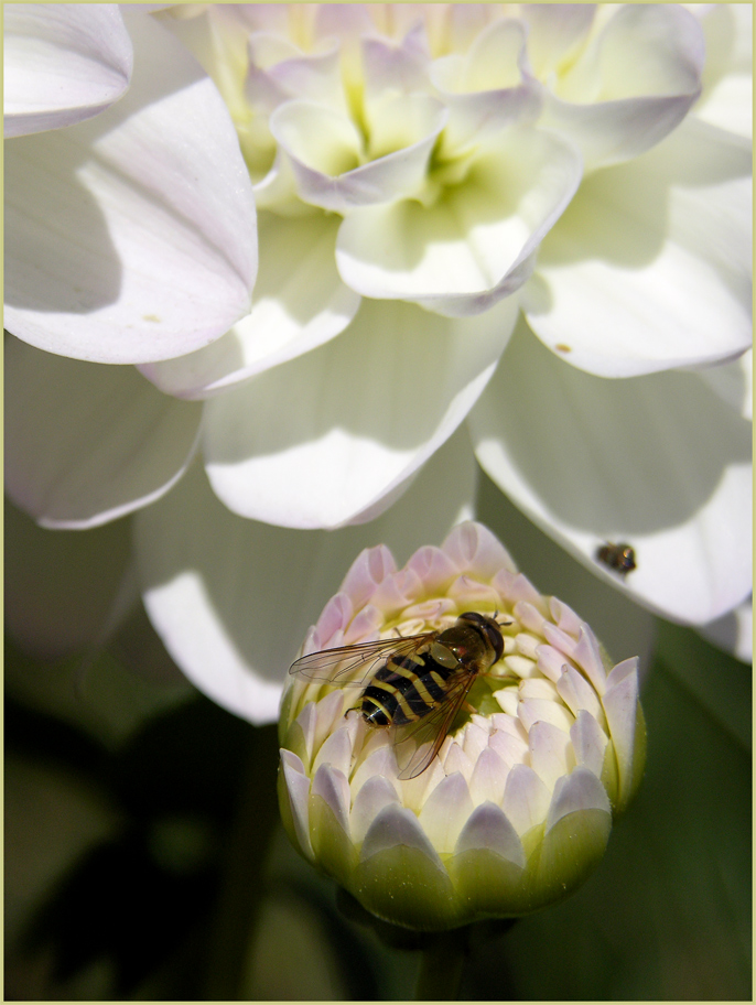 Ehi tu ... laggi�!!!