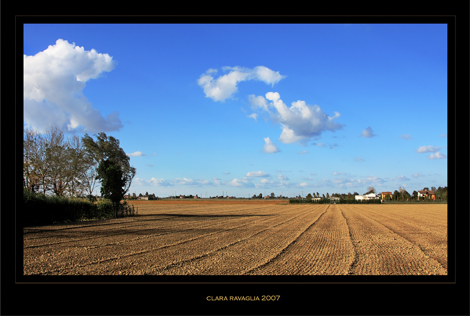 L'elefantino fra le nuvole....