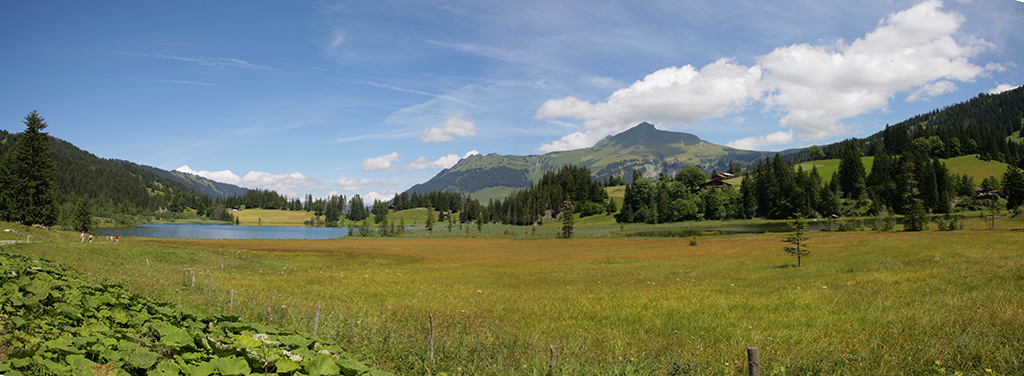 Panoramica Lauenensee