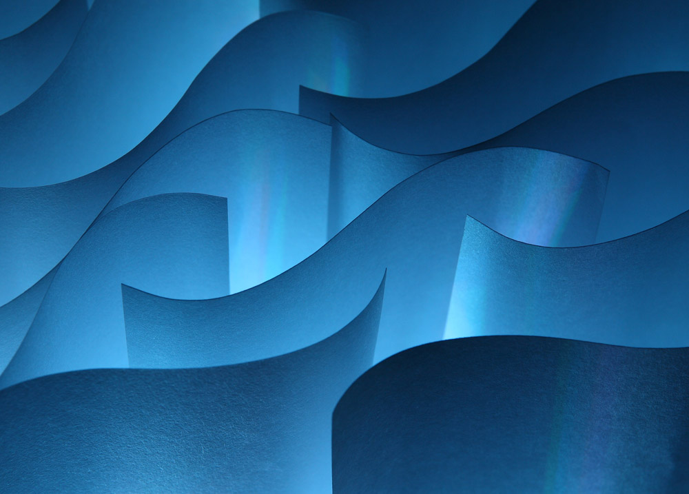 Virtuosismi di cellulosa... (fotocult)