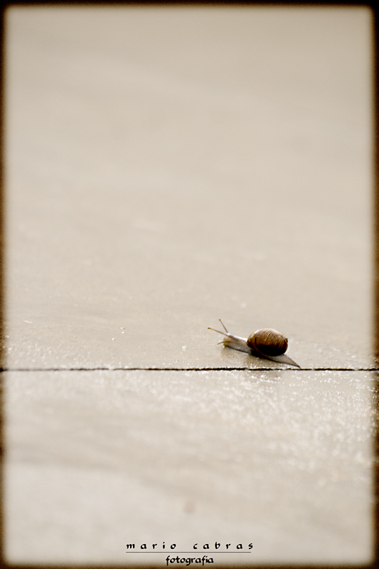 Io esco quando piove