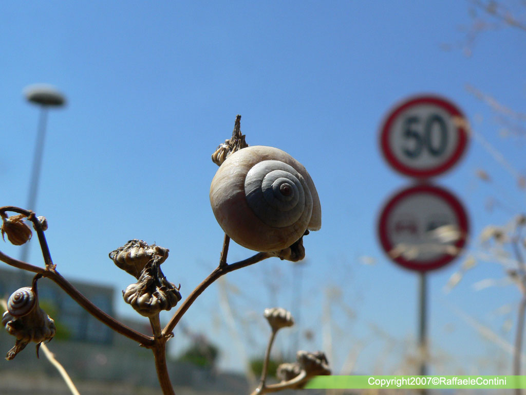 limite max consentito