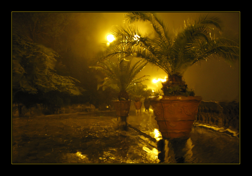 L'autunno in citt�