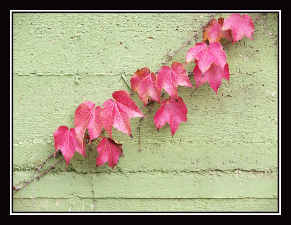 ...convivenza colorata....