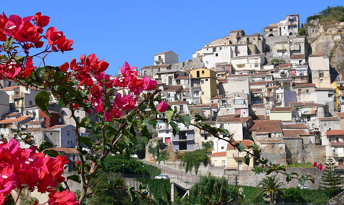 Nella luce vivida del Sud