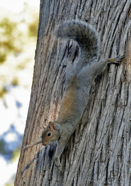 fletto i muscoli e sono nel vuoto
