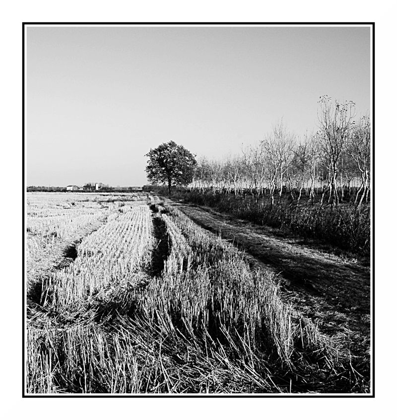In attesa della primavera