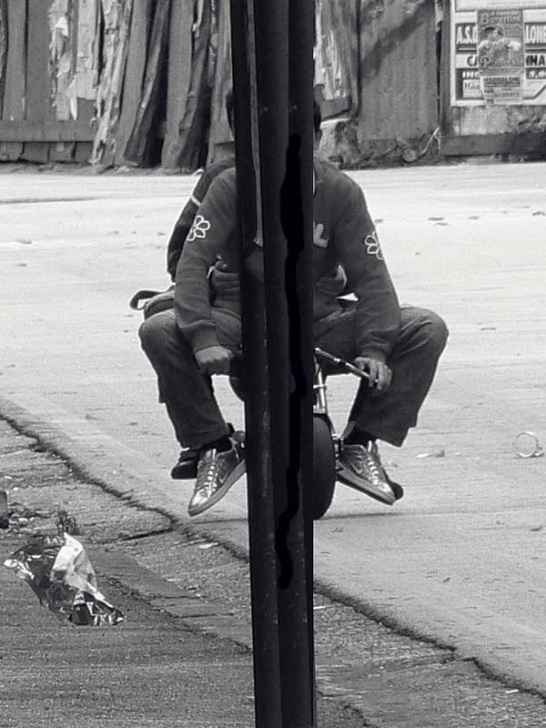 I volti nascosti della stupidit�