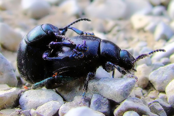 a spasso tra i sassi