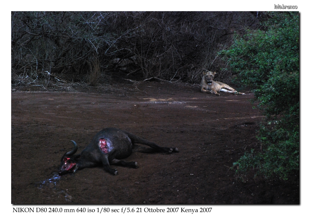 La legge della natura