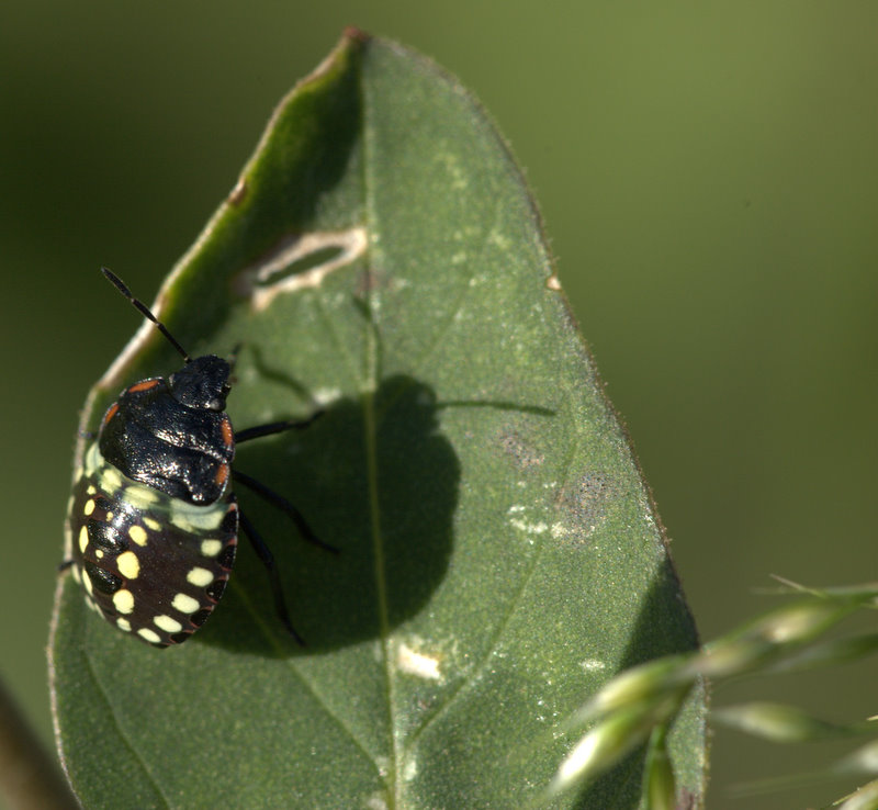 Che fatica la salita..