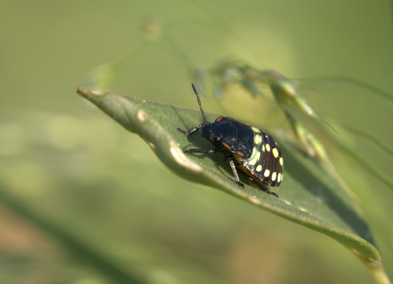 Ke vista da qui..!!!