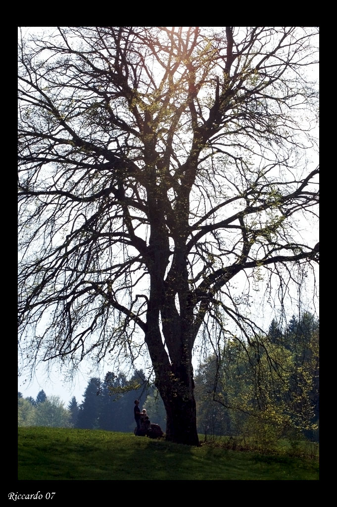 Col sole negli occhi e nel cuore