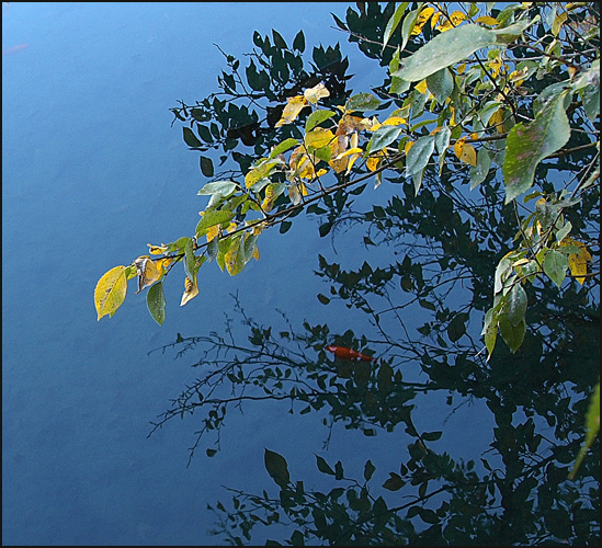 sometimes i feel ...