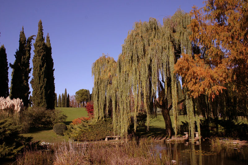 era proprio piangente